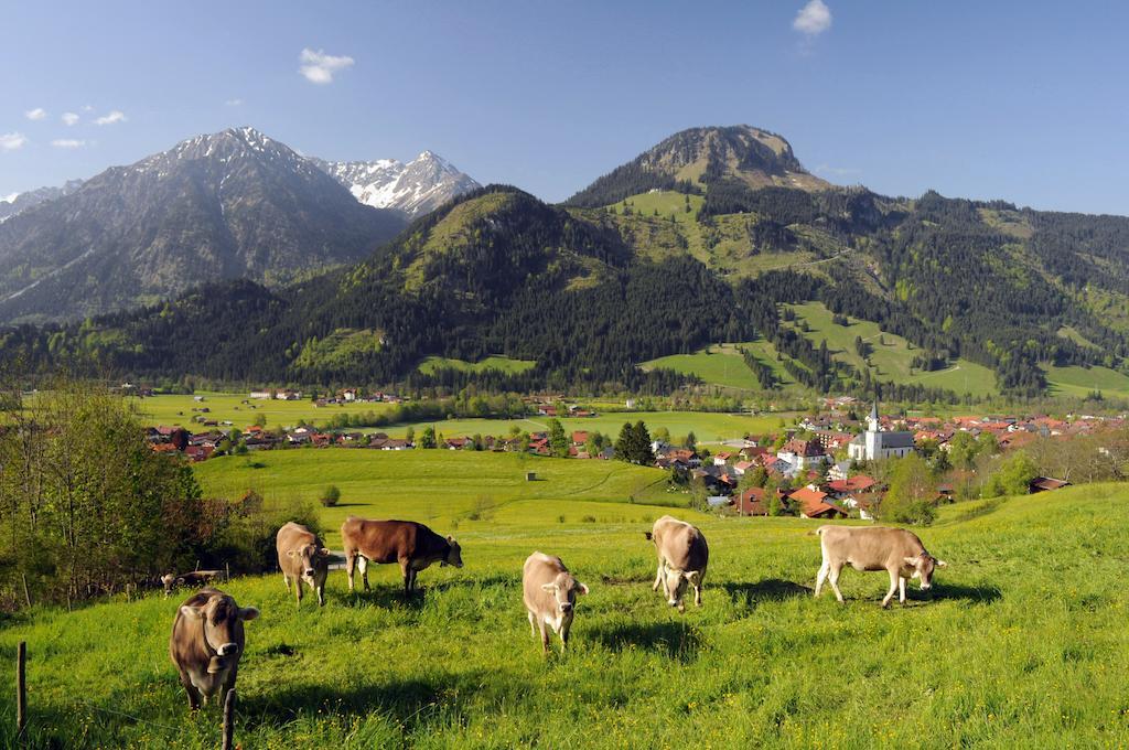 Hirschbachwinkel - Fewo-Badhindelang Bad Hindelang Exteriér fotografie